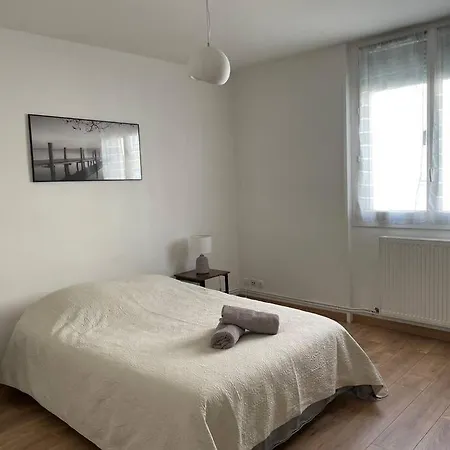 Spacieux Centre Gare Visitation * אנז'ה