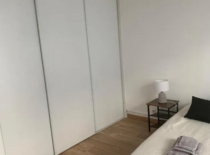 Spacieux Centre Gare Visitation * Анже