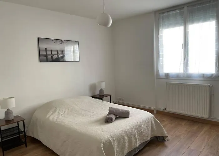 Spacieux Centre Gare Visitation * Анже